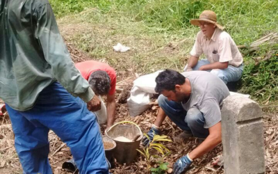 Oficina de Agrofloresta