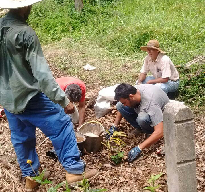 Oficina de Agrofloresta