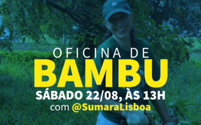Workshop de Bambu na Ecovila São José — com Sumara Lisbôa